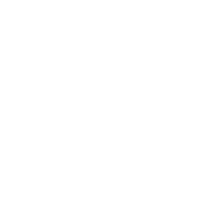 Automobile